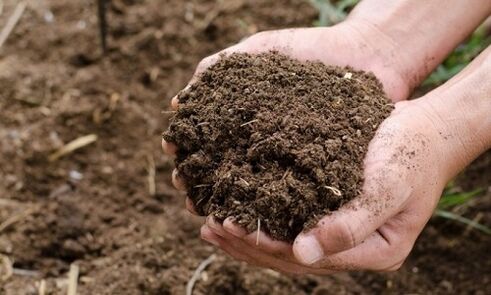Soil is the source of human parasite infection