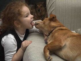 The child kisses the dog and is infected with the parasite