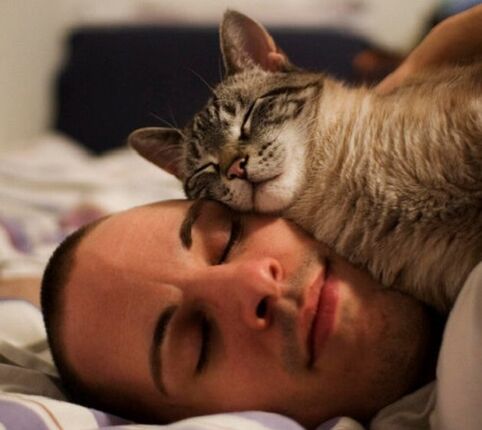 Sleeping with cats is the cause of parasitic infections