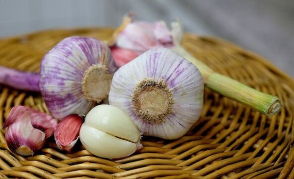 Garlic against parasites